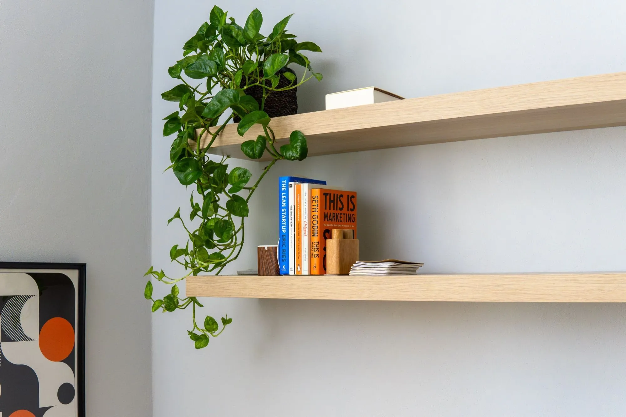 Shelf with plants