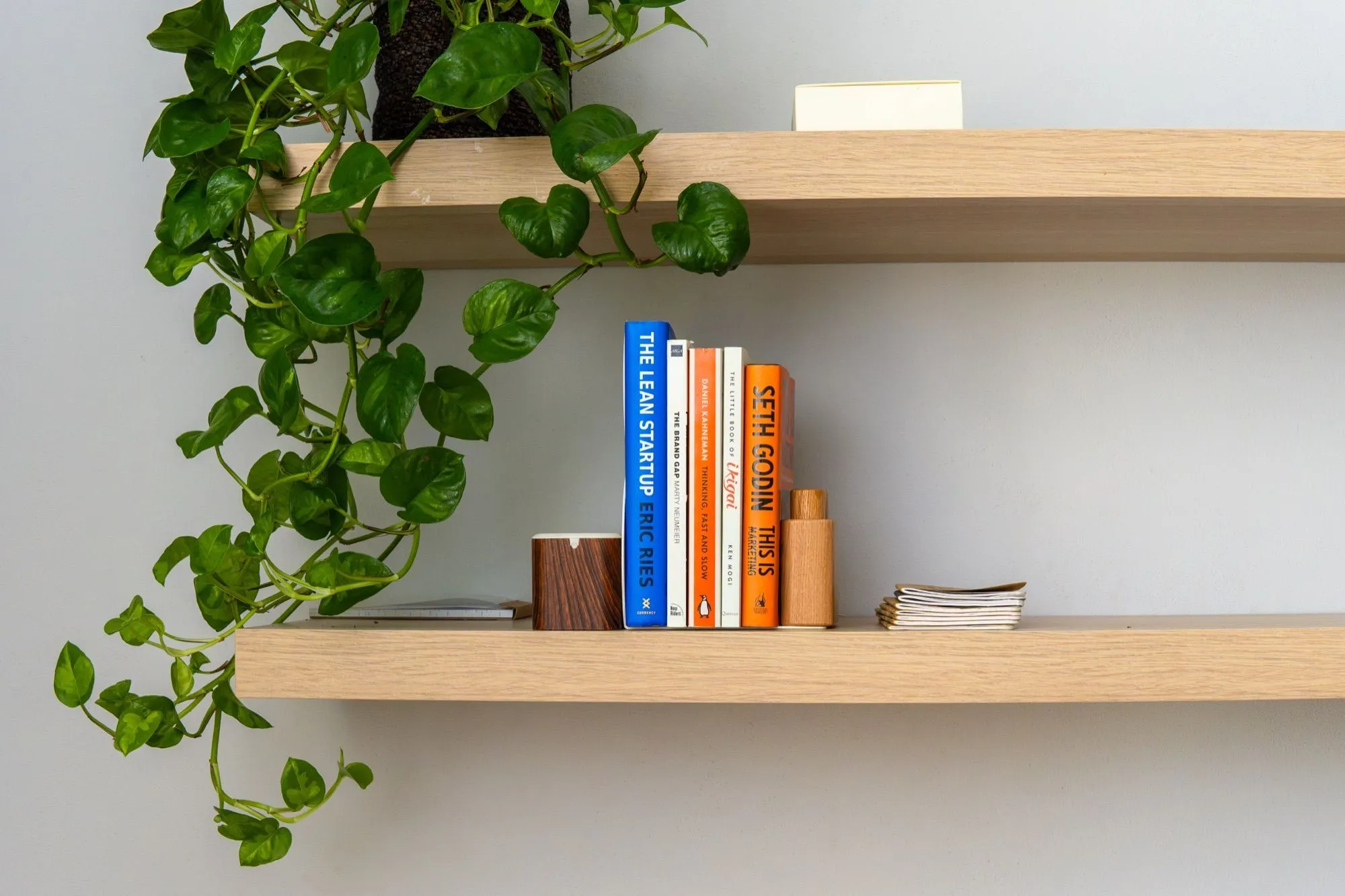 Books and plants on the shelf